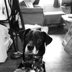 Meet your Posher, Mindi